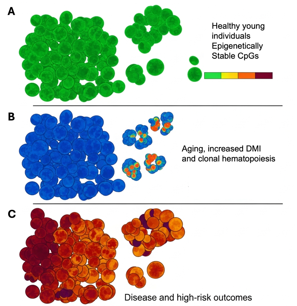 Clonal Hematopoiesis Visualization